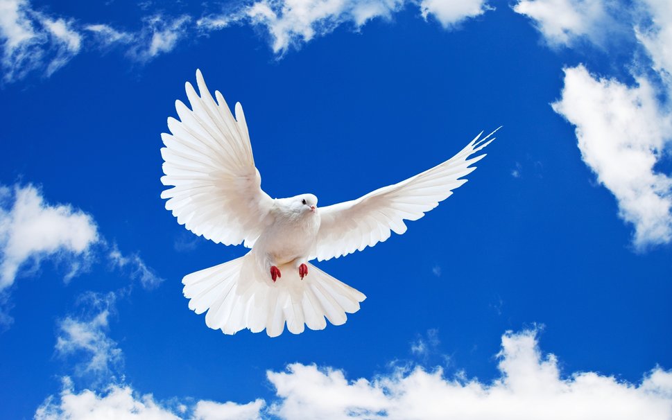 Του Αγίου Πνεύματος σήμερα - Τι γιορτάζουμε - ΒΗΜΑ ΟΡΘΟΔΟΞΙΑΣ